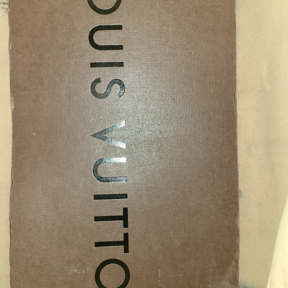 Louis Vuitton classic louis